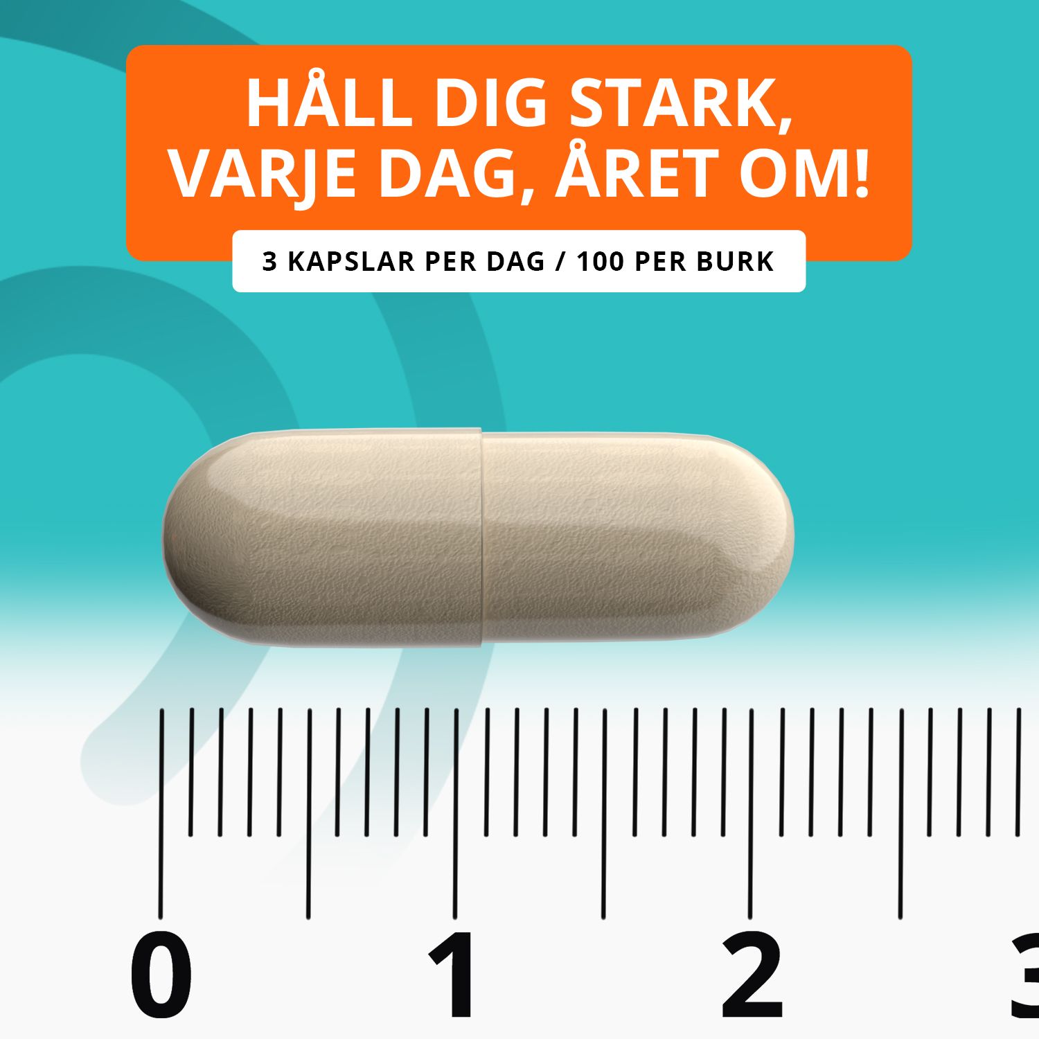 Topformula | Maca + L-arginin | 100 kapslar