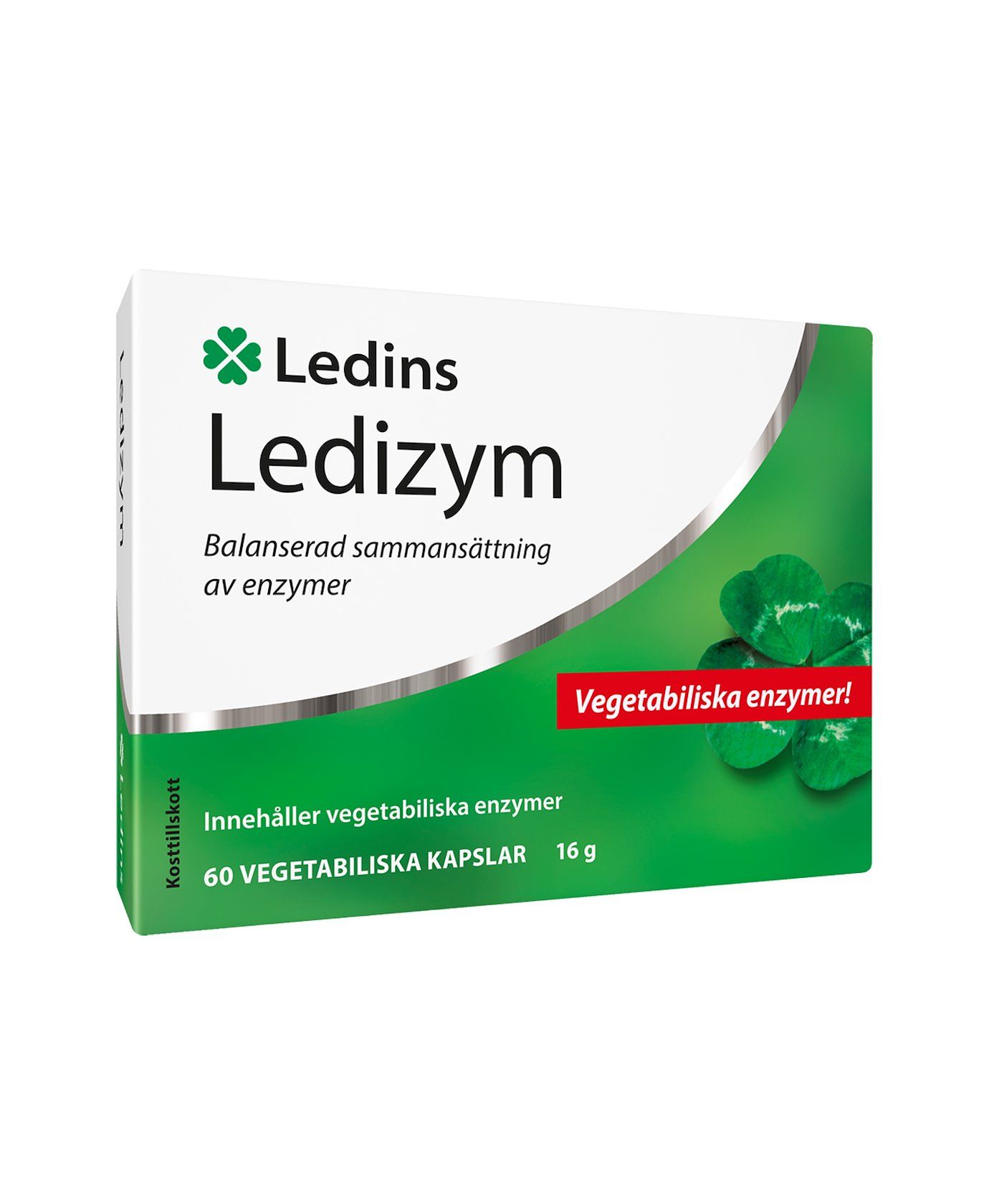 Ledins | Ledizym