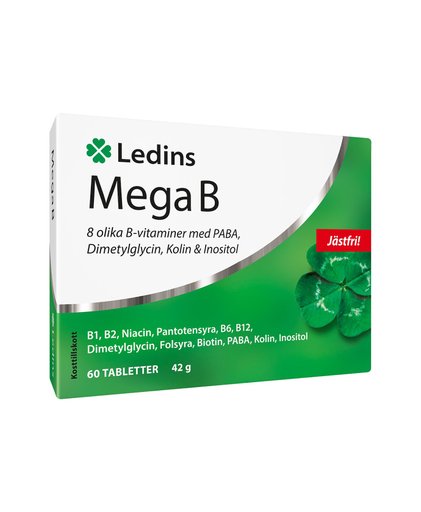 Ledins | Mega B
