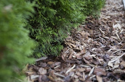 KUORIKATE BIOLAN 50L