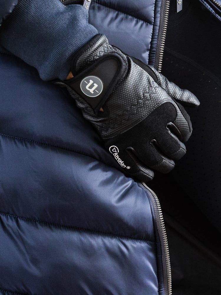Winter Glove