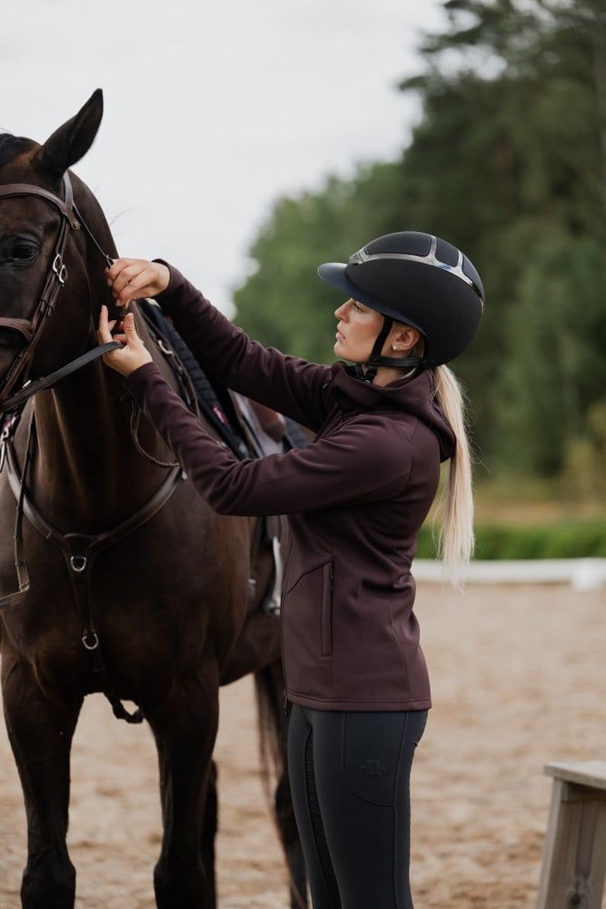 Misty Equestrian Hoodie