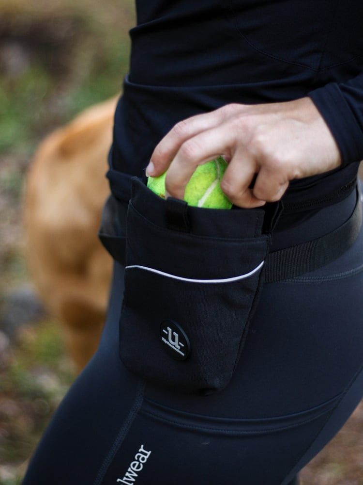 Dog Training Basic Pouch