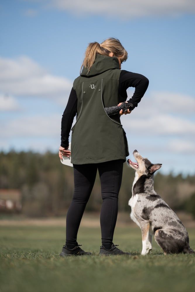 Regular Pro Dog Trainer Vest