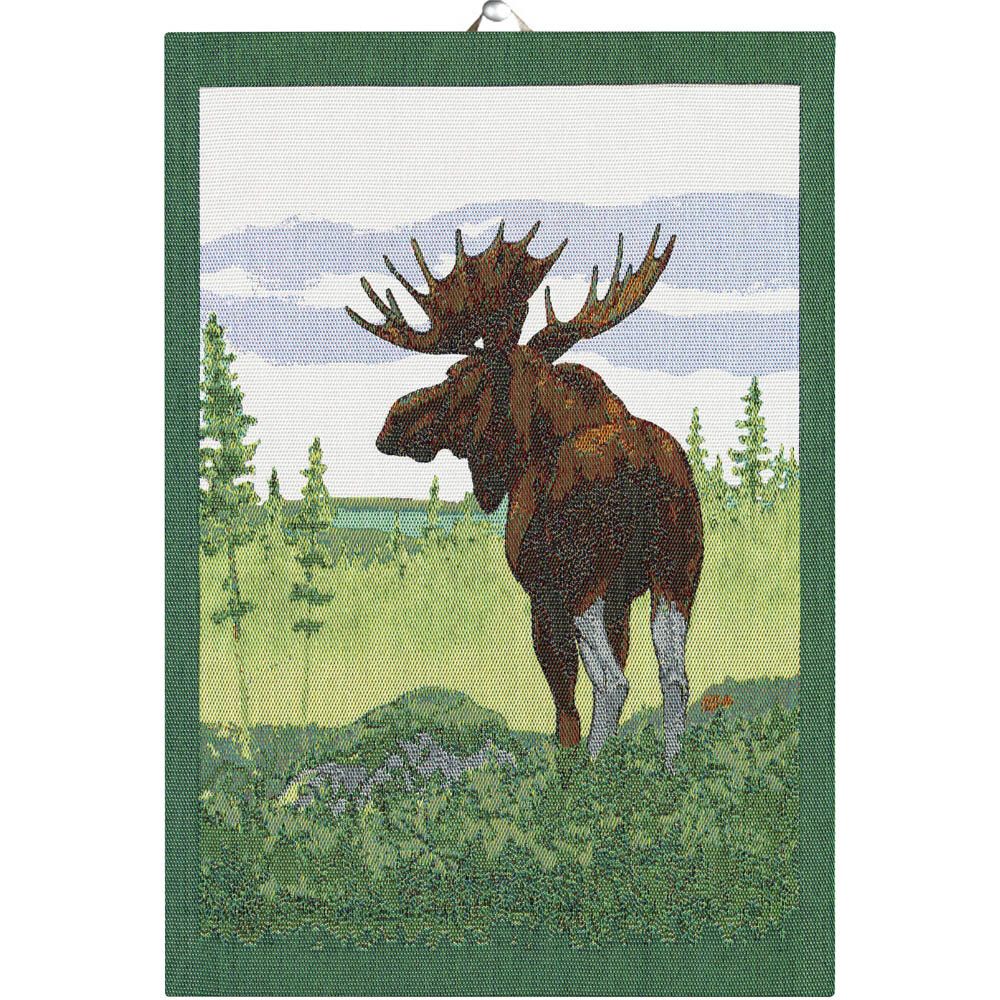Moose kökshandduk 35x50 cm