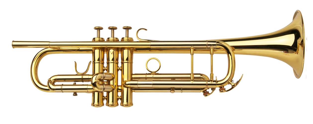 Trumpet Adams Custom Series A10, Guldlack - A10
