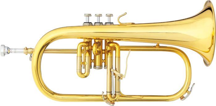 Flygelhorn B&S 3146/2G-S Brochon Försilvrad