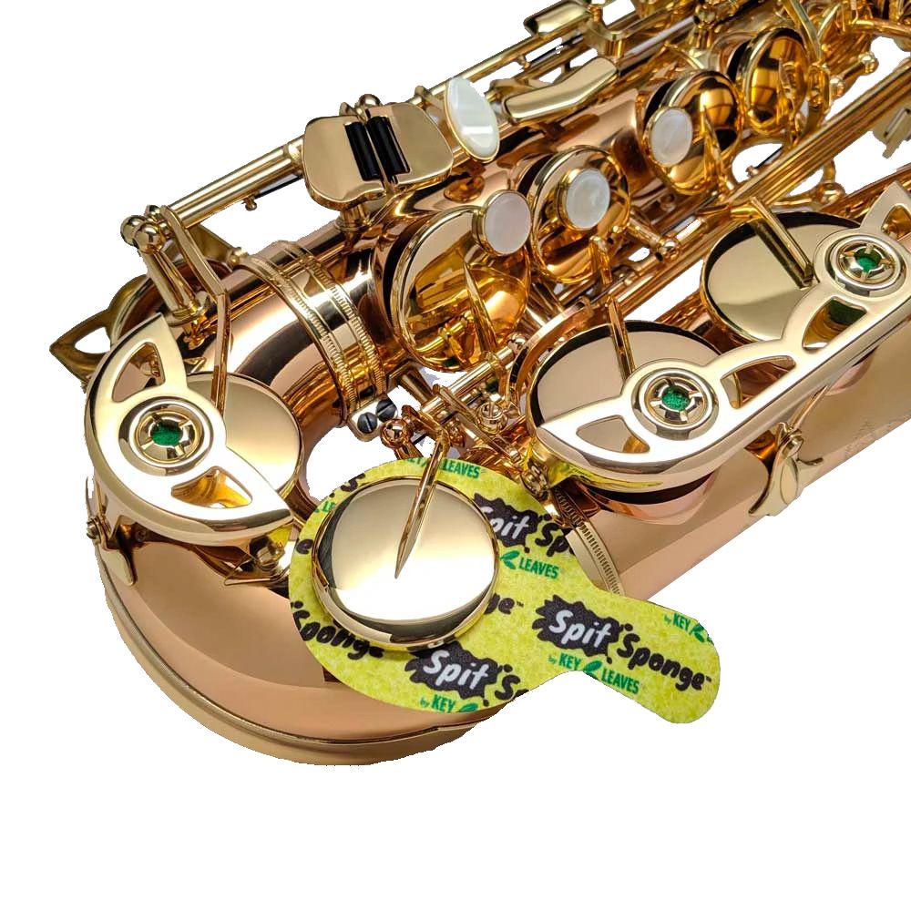 Putsvabb Key Leaves Spit Sponge Saxofon