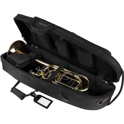 Etui Protec Bastrombon IPAC IP309CT