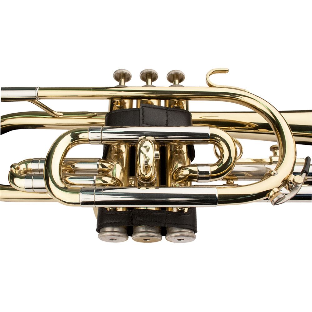 Ventilhusskydd Protec L231 Kornett