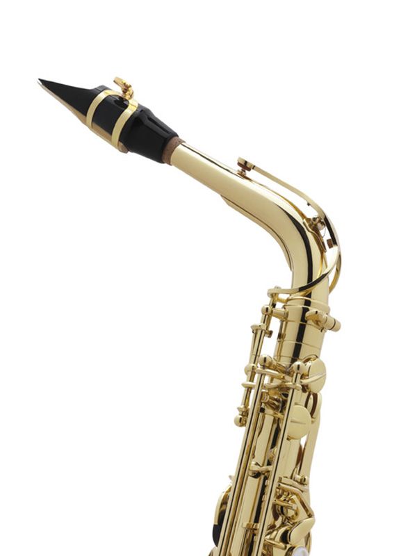Altsaxofon Selmer Seles Axos