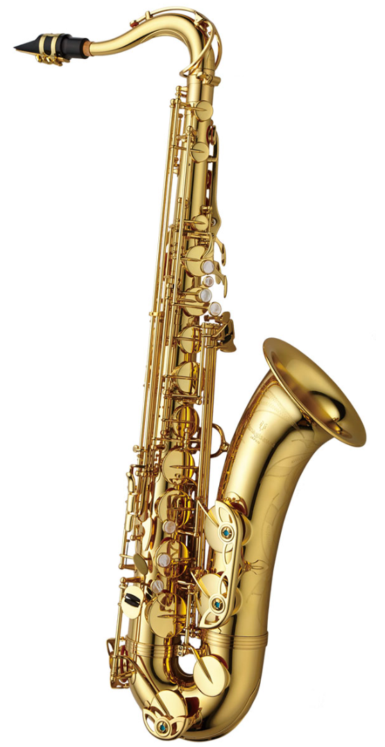 Tenorsaxofon Yanagisawa T-WO1 Professional