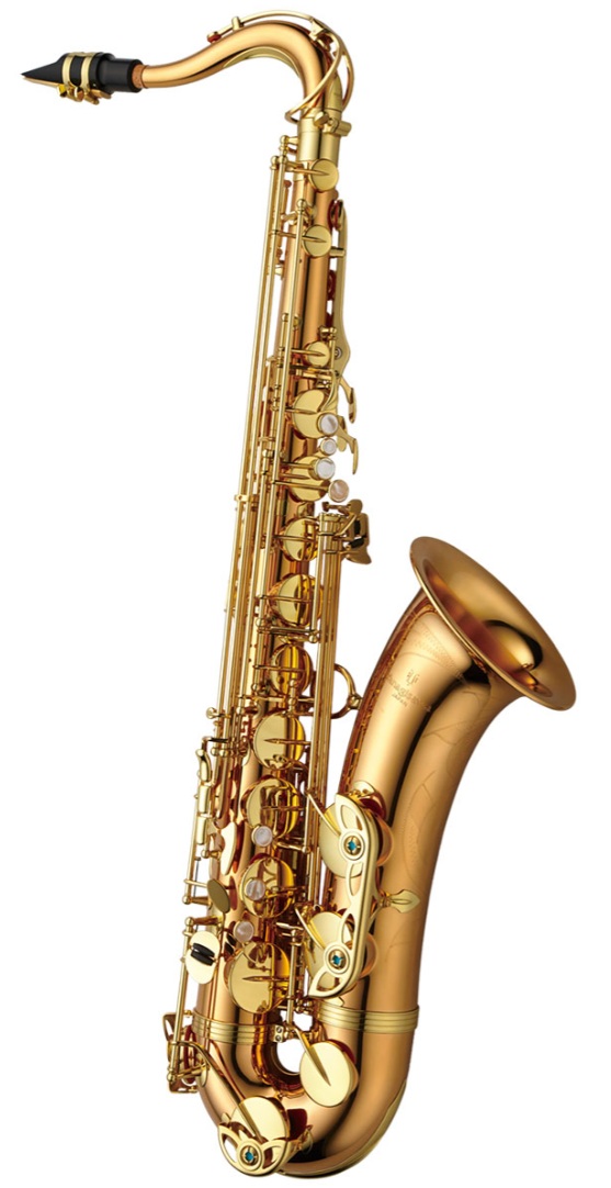 Tenorsaxofon Yanagisawa T-WO2 Professional Bronze