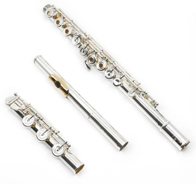 Flöjt Pearl PF-695RBE-VGR Dolce Vigore