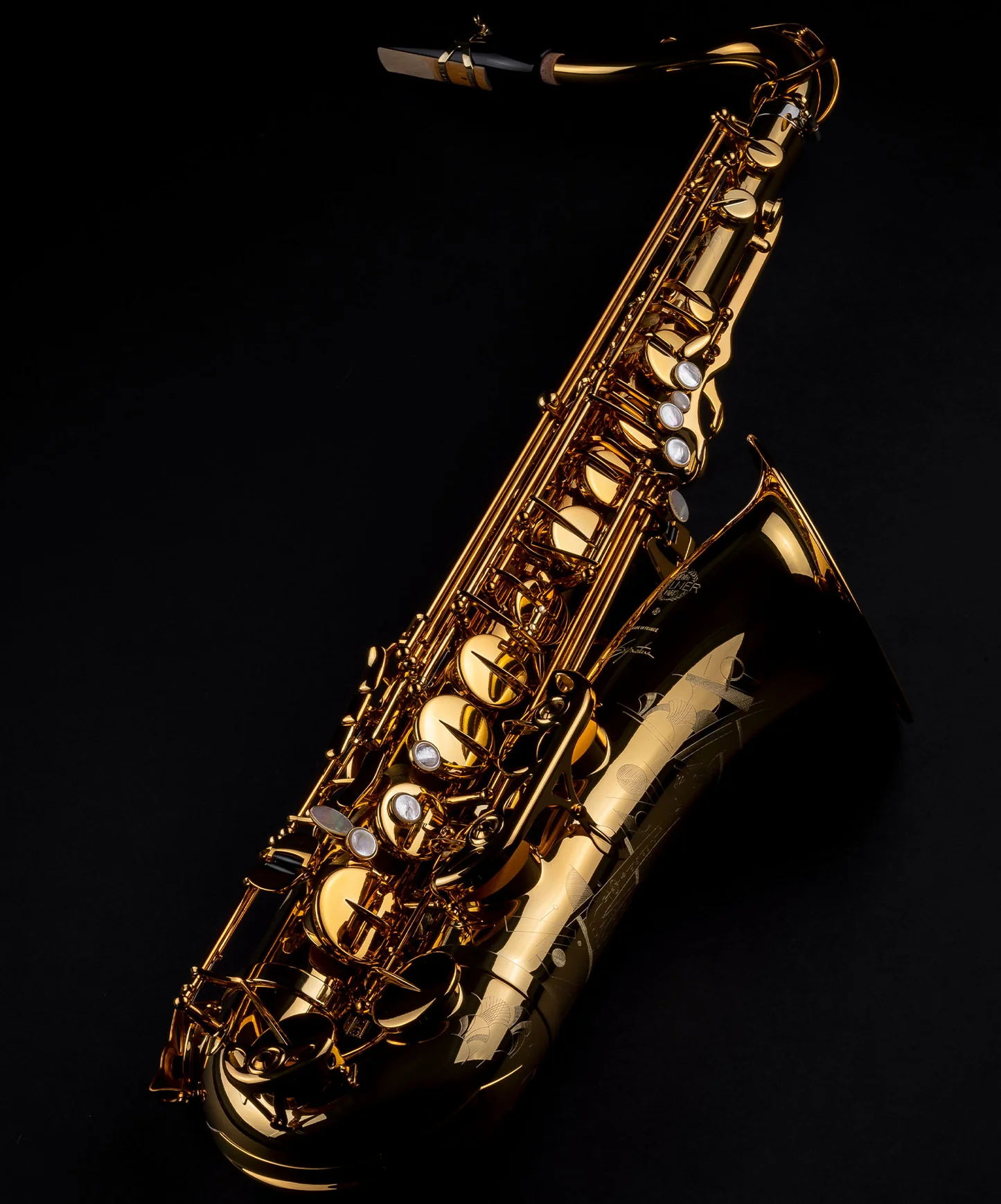 Tenorsax Selmer Signature lack