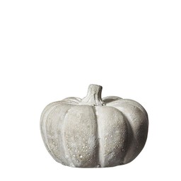 Pumpkin XS Grey - Grey - 5x4cm