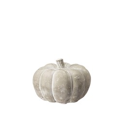 PUMPKIN Grey - Grey - 10x8cm