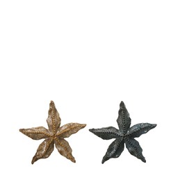GALIA Sea star Mix Beige, Blue - Beige/Blue - 17x16x2cm