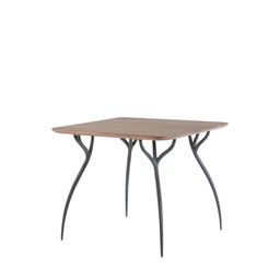 REEVES Dining Table Zink/Valnöt - Zink/Valnöt - 90x90x75cm