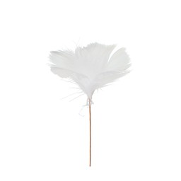 FEATHER w. thread White - White - 8x12 cm