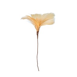 FEATHER w. thread Orange - Orange - 8x12 cm