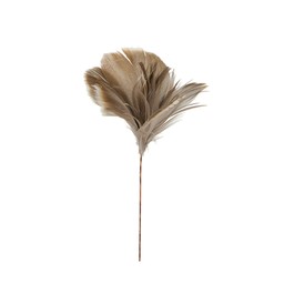 FEATHER w. thread Brown - Brown - 8x12 cm