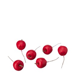 ÄPPLEN Röd - Röd - 3,5+6 cm