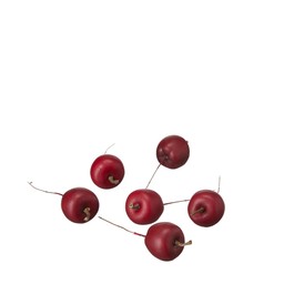 ÄPPLEN Mörkröd - Mörkröd - 3,5+6 cm
