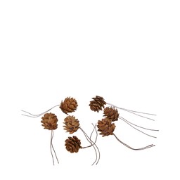 KOTTAR Brun - Brun - 2,5x3+8 cm