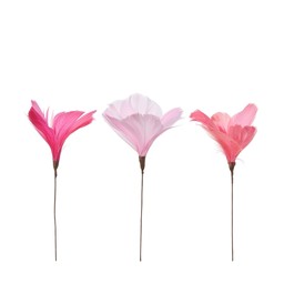 FEATHER w thread Mix Light Pink,Pink,Ceri - Light Pink,Pink,Ceri - 8x12 cm