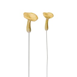 SVAMP STICKS 2/S Gul melerad - Gulmelerad - 5x5 4x4+20 cm