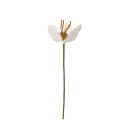 TULIP Flower White - White - 16x75cm
