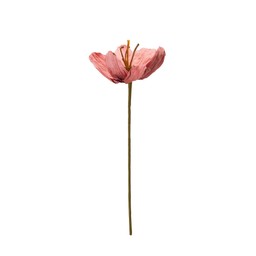 TULIP Flower Pink - Pink - 16x75cm