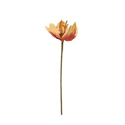 TULIP Flower Orange - Orange - 16x75cm
