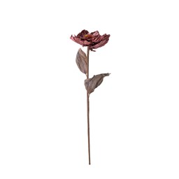 ROSE Flower Pink - Pink - 20x75cm