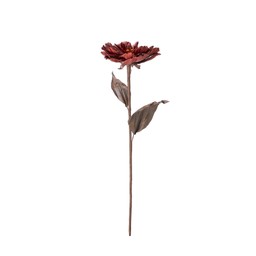 ROSE Flower Burgundy - Burgundy - 20x75cm