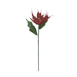 POINSETTIA Flower Red - Red - 25x93cm