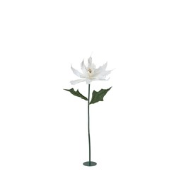 POINSETTIA Flower White - White - 50x140cm