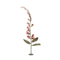 DIGITALIS Flower Pink - Pink - 55x235cm