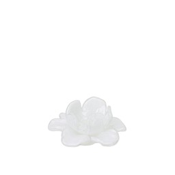 FLOR Dekoration Blomma Vit - Vit - 11x5cm