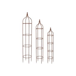 ROYA Plant Support S/3 Rust - Rust - 32x167 26x146