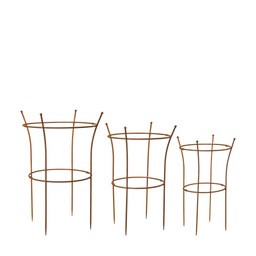 ETHEL Plant Support S/3 Rust - Rust - 42x66 36x60 30x55cm