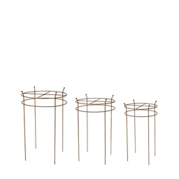 ETHEL PLANT SUPPORT S/3 Rust - Rust - 44x66 39x60 33x54cm