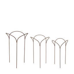 VIVA Plant Support S/3 Rust - Rust - 43x41x66 36x36x60cm