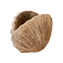 SHELL Pot Antique Terracotta - Antique Terracotta - 34x24cm