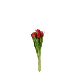TULIPS Bundle Red - Red - 31cm