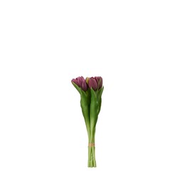 TULIPS Bundle Purple - Purple - 31cm