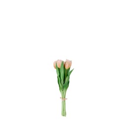 TULIPS Bundle Peach - Peach - 31cm
