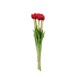 TULIPS Bundle Red - Red - 47cm