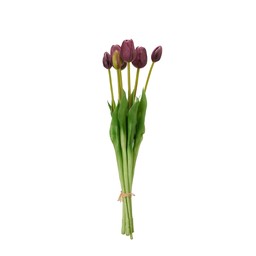 TULIPS Bundle Purple - Purple - 47cm